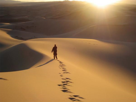 Desert Wanderings